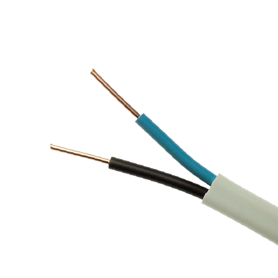 ΠΟΛΥΚΛΩΝΟ ΚΑΛΩΔΙΟ NYM 2x2.5mm2