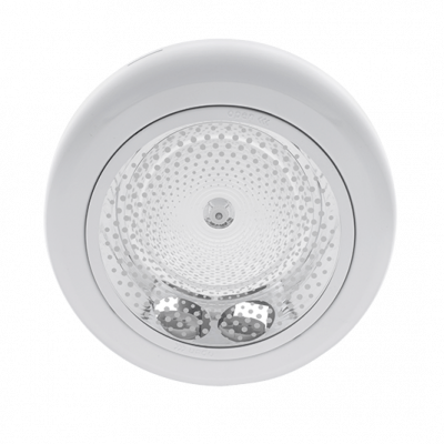 GL213 WHITE - model 2