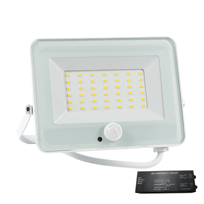 VEGA30 SLIM 30W LED ΠΡΟΒΟΛΕΑΣ + SEN 3000K WH+ ΚΙΤ ΑΣΦΑΛΕΙΑΣ