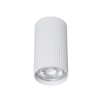 TK LIGHTING DOWNLIGHT SM TUNE 10023 1XGU10 WHITE