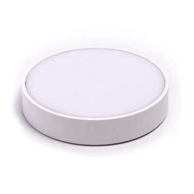 ΠΛΑΦΟΝΙΕΡΑ ΣΤΡΟΓΓΥΛΗ LED 24W Φ30 4000Κ IP54 ΛΕΥΚΗ ARTE ILLUMINA